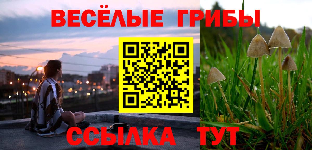 Галлюциногенные грибы GOLDEN TEACHER  Вход с VPN  Сатка 